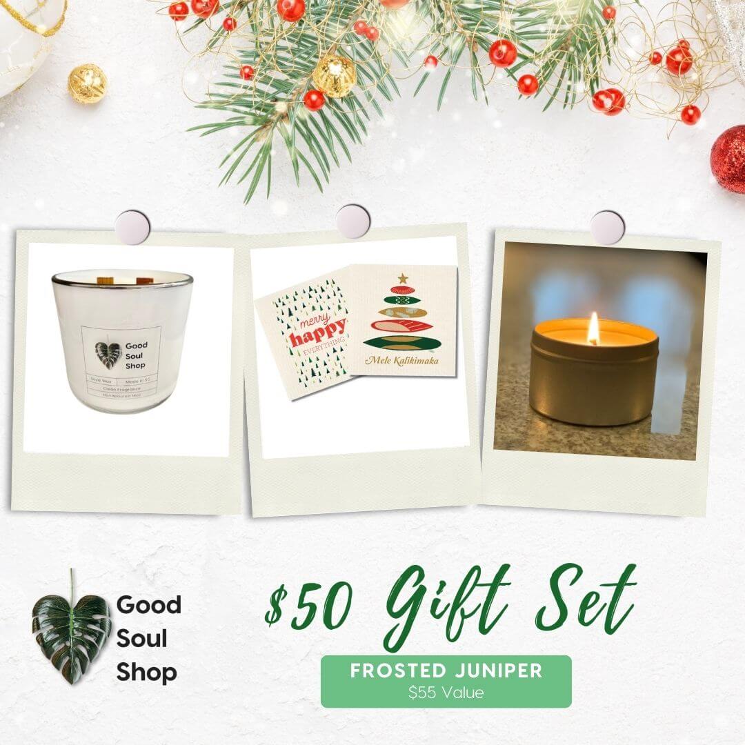 Good Soul Shop Frosted Juniper Candle and Swedish Dish Cloth set