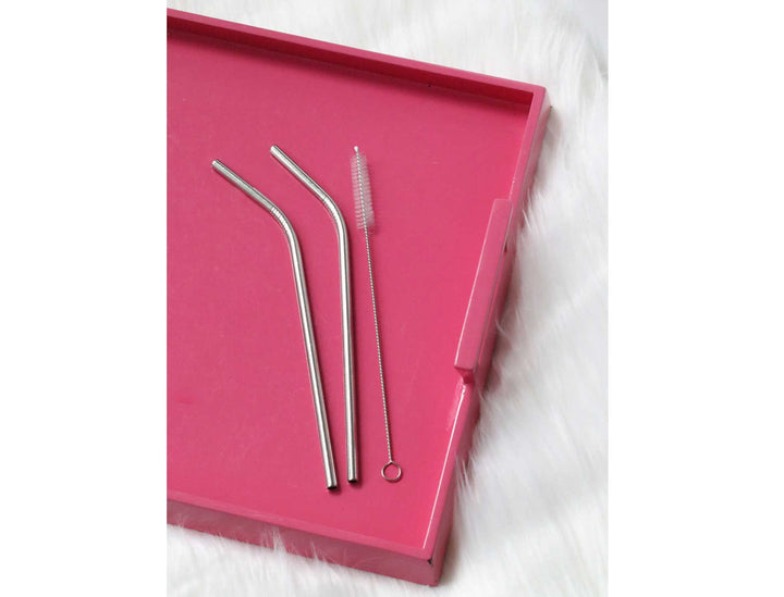 Stainless Steel Drinking Straws and Cleaning Brush - Straight - Good Soul Shop
